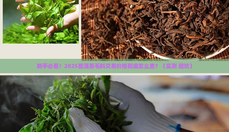 普洱茶毛料交易价格查询