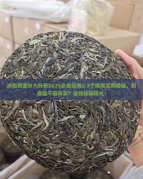 冰岛黄金叶大叶茶