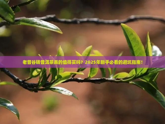 老普谷砖普洱茶