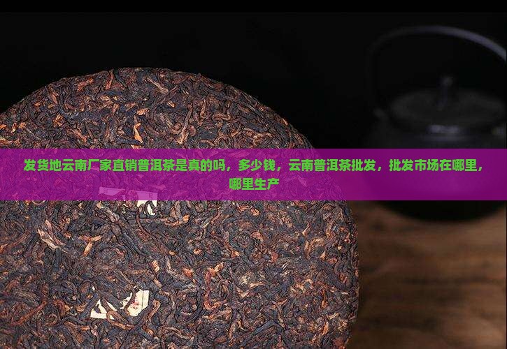 发货地云南厂家直销普洱茶