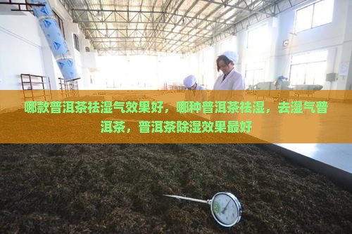 哪款普洱茶祛湿气