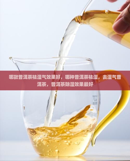 哪款普洱茶祛湿气