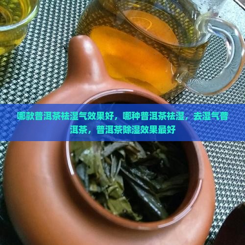哪款普洱茶祛湿气