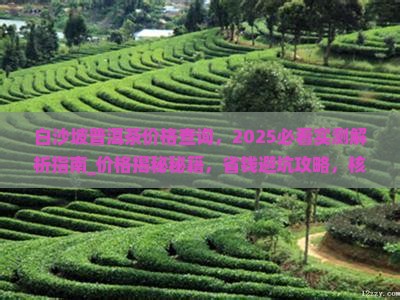 白沙坡普洱茶价格查询