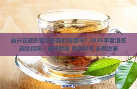 嘉兴正规的普洱茶