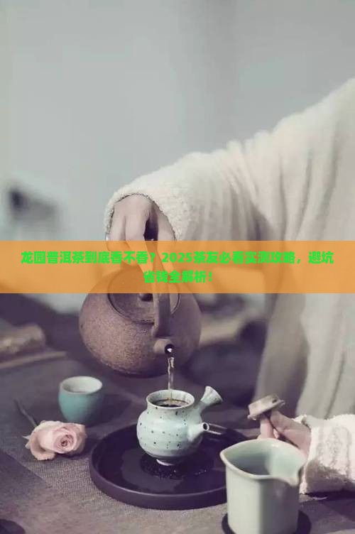 龙园普洱茶可不可以茶友们