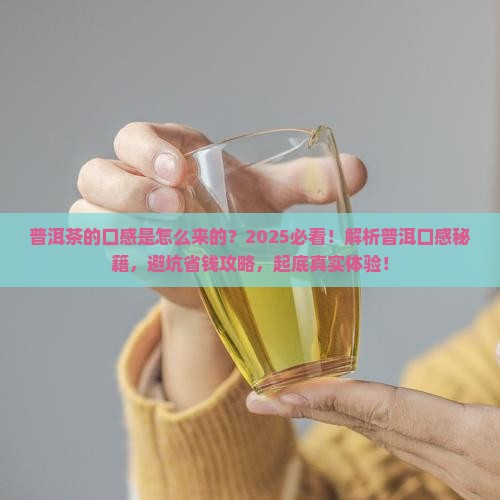 普洱茶的口感是怎么来的