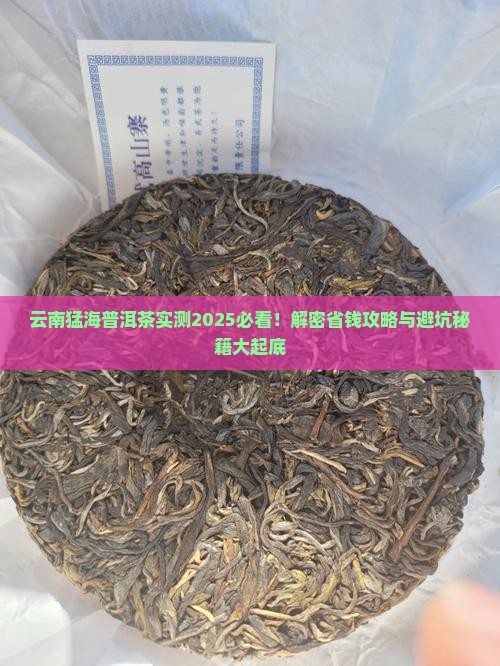 云南猛海普洱茶