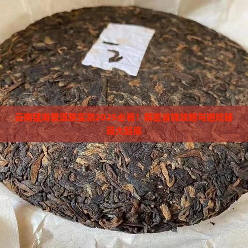 云南猛海普洱茶