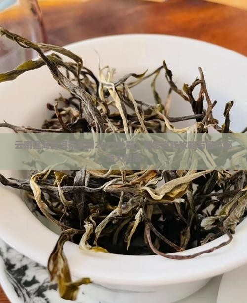 云南猛海普洱茶