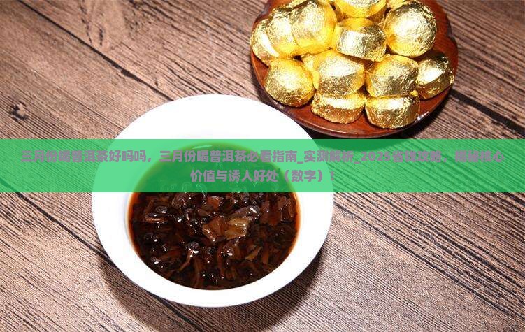 三月份喝普洱茶好吗吗