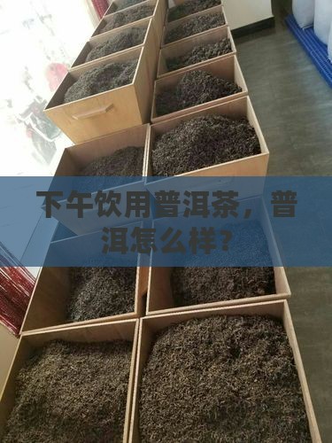 老板下午冲泡普洱茶喝好不好