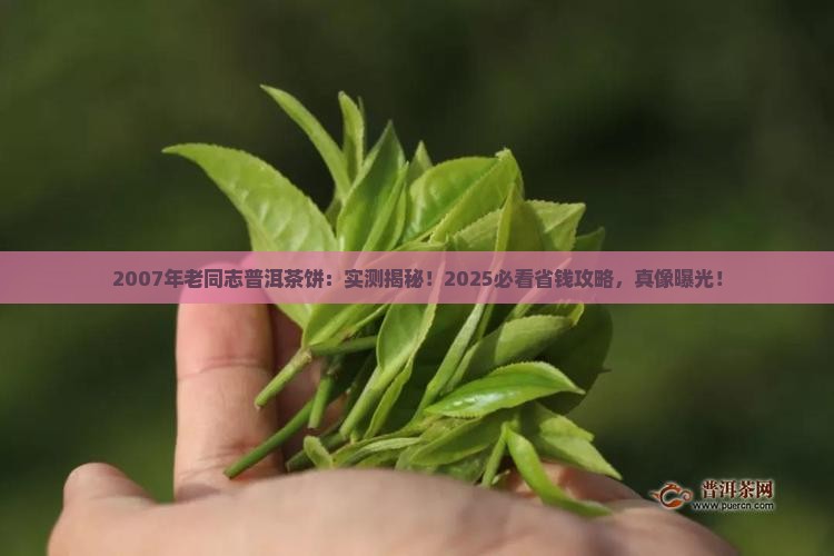 2007年老同志普洱茶饼