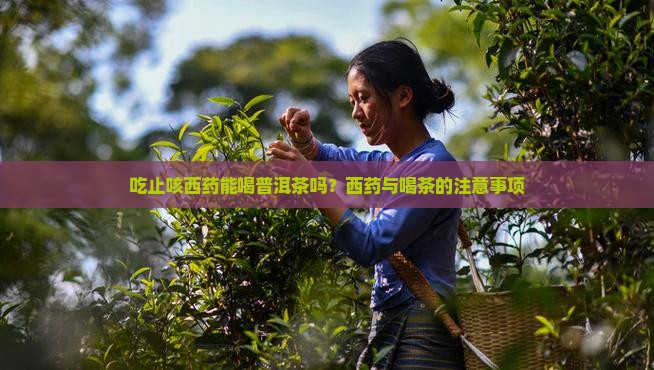 吃止咳西药能喝普洱茶吗