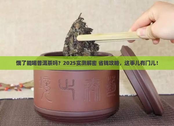 饿了能喝普洱茶吗
