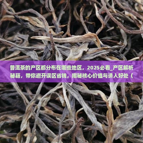 普洱茶的产区都分布在哪些地区