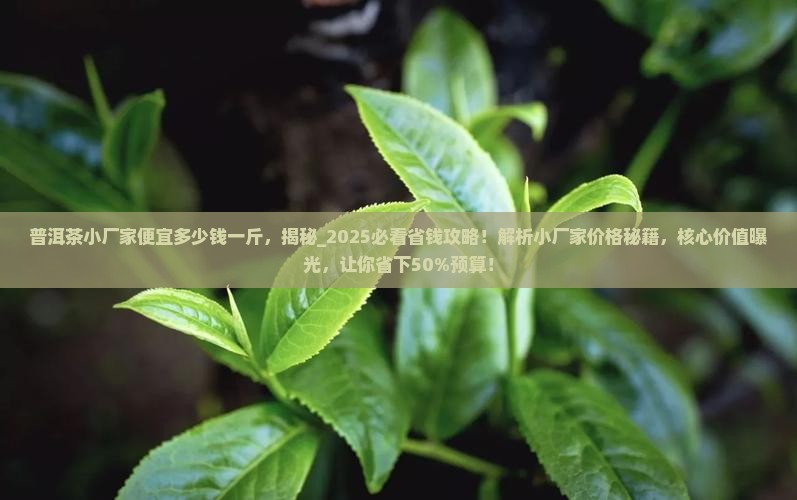 普洱茶小厂家便宜多少钱一斤