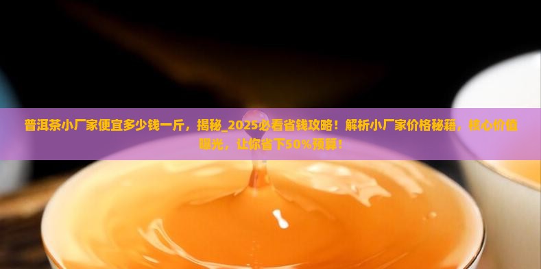 普洱茶小厂家便宜多少钱一斤
