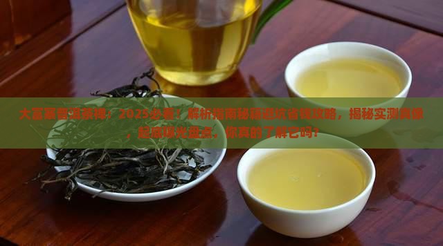大富寨普洱茶禅