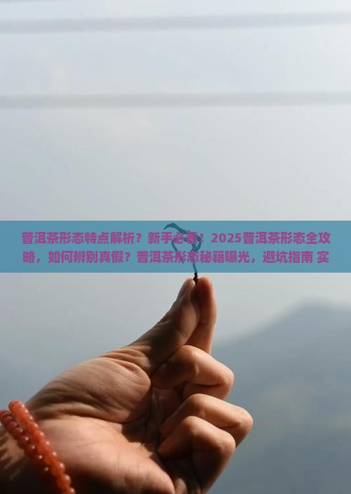 普洱茶形态特点