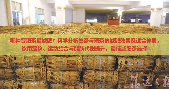 最减肥的茶是普洱茶吗