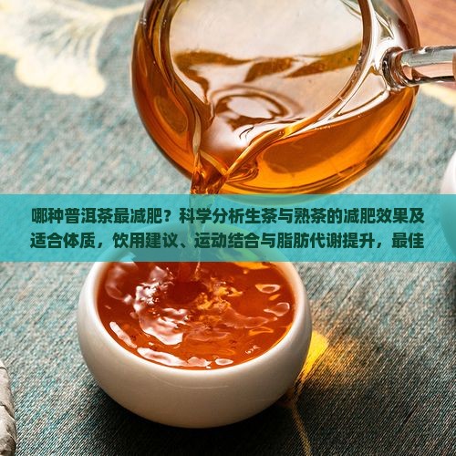 最减肥的茶是普洱茶吗