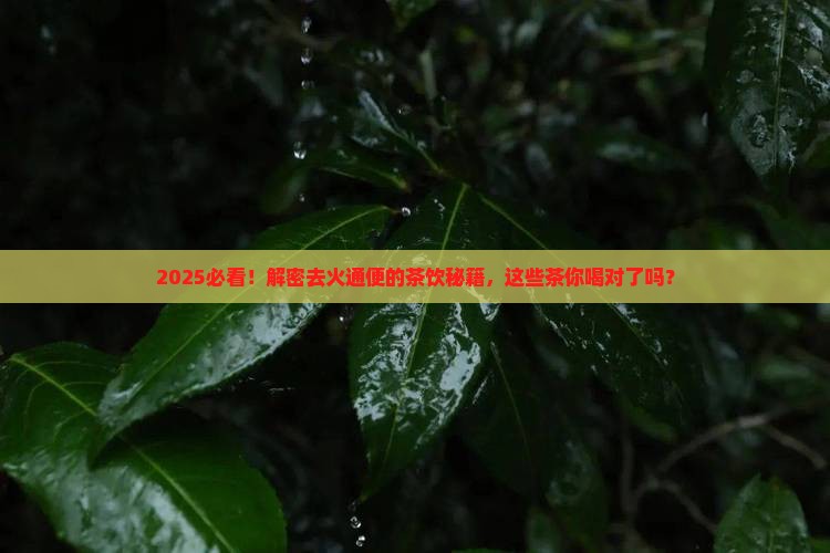 去火通便喝什么茶