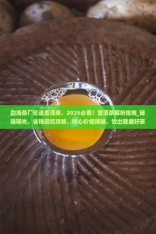勐海茶厂论道普洱茶 勐海茶厂论道普洱茶