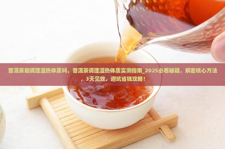 普洱茶能调理湿热体质吗 普洱茶能调理湿热体质吗