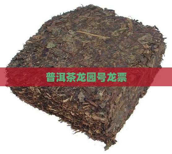 龙园号普洱茶龙票