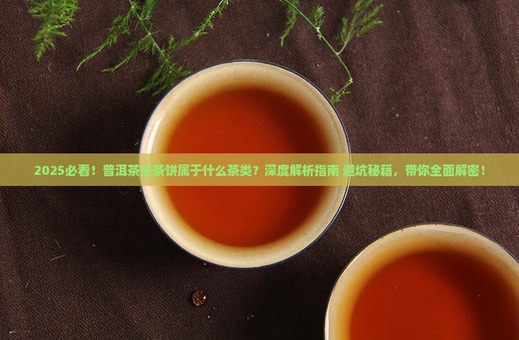 普洱茶生茶饼属于什么茶类
