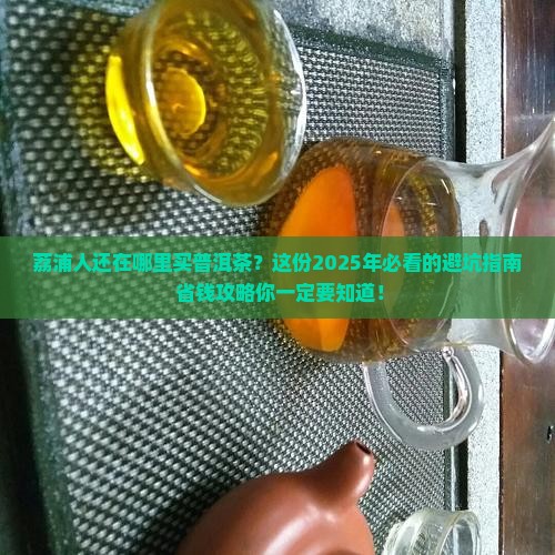 荔浦哪里能买到普洱茶