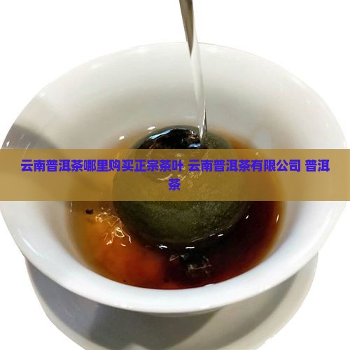 云南买普洱茶去哪里