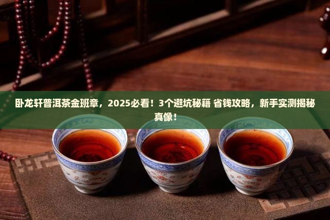 卧龙轩普洱茶金班章