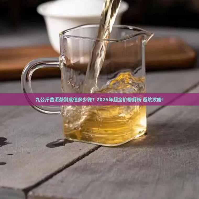 九公斤普洱茶价格表