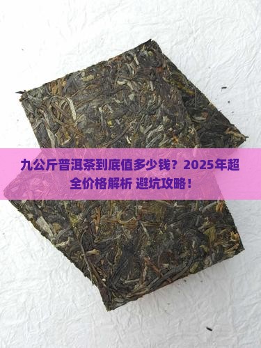 九公斤普洱茶价格表