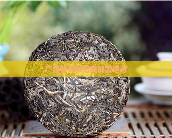 广西高端普洱茶招商