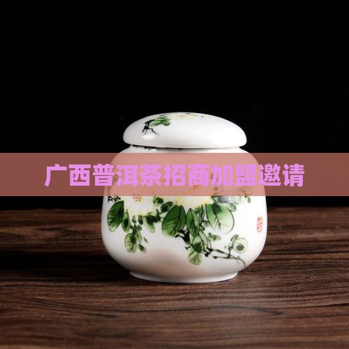 广西高端普洱茶招商