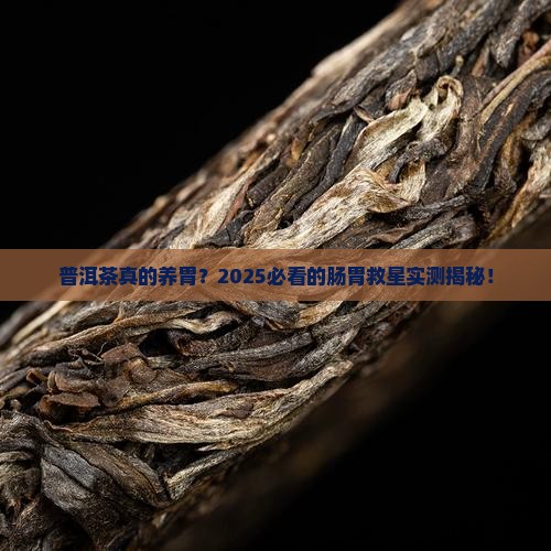 普洱茶对胃有好处