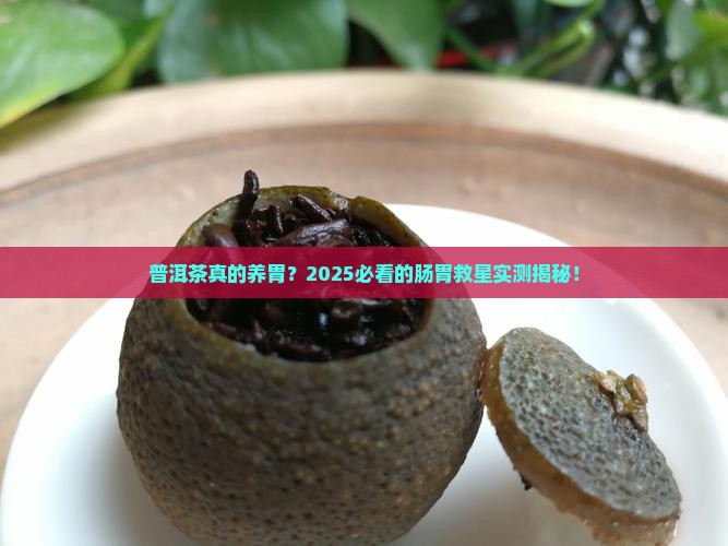 普洱茶对胃有好处
