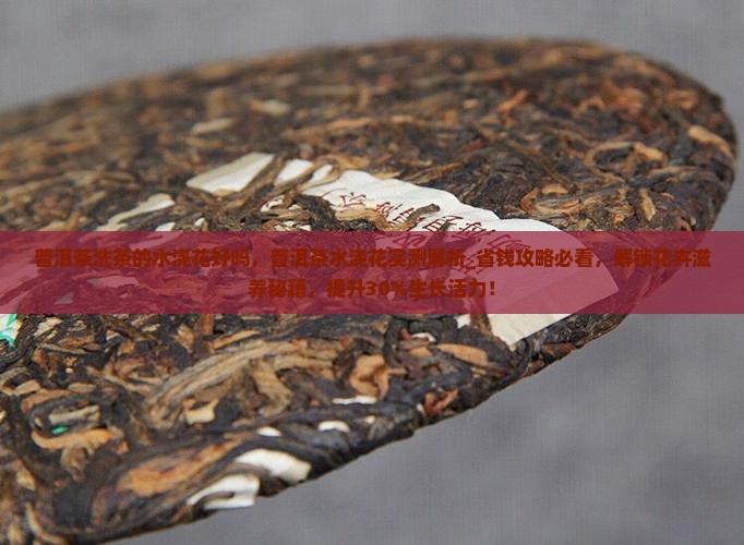 普洱茶洗茶的水浇花好吗