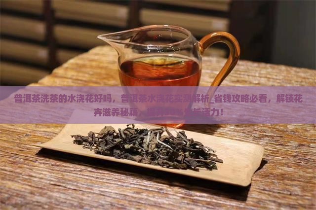 普洱茶洗茶的水浇花好吗