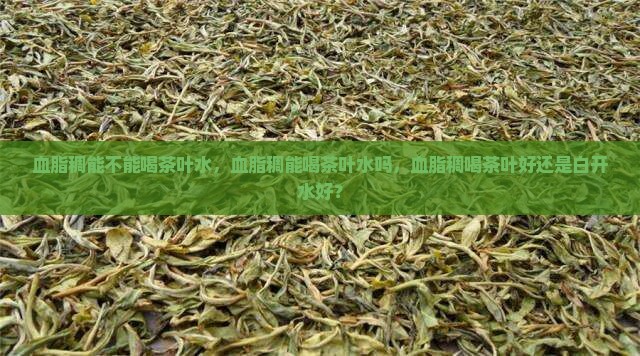 血脂稠能不能喝茶叶水