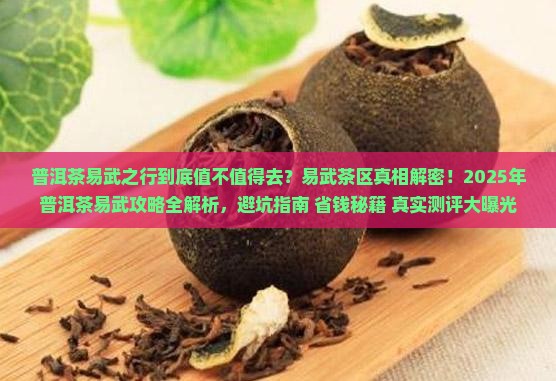 普洱茶易武之行