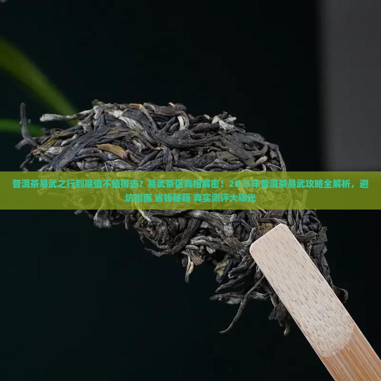 普洱茶易武之行