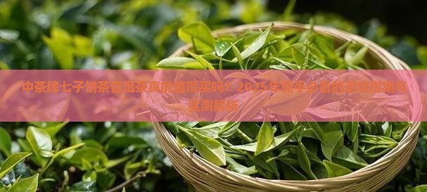 中茶牌七子饼茶普洱茶