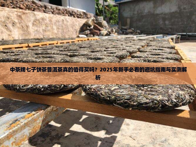 中茶牌七子饼茶普洱茶