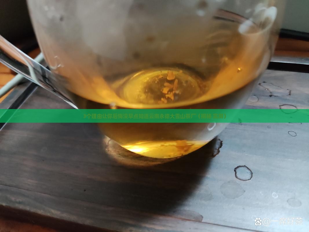 云南永德大雪山茶厂