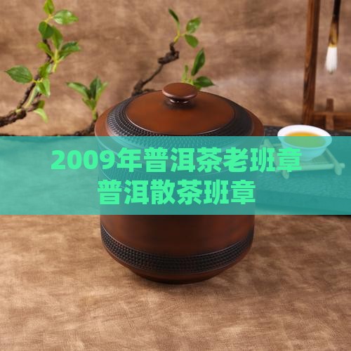2009年老班章普洱茶散茶
