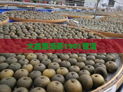 普洱茶1901
